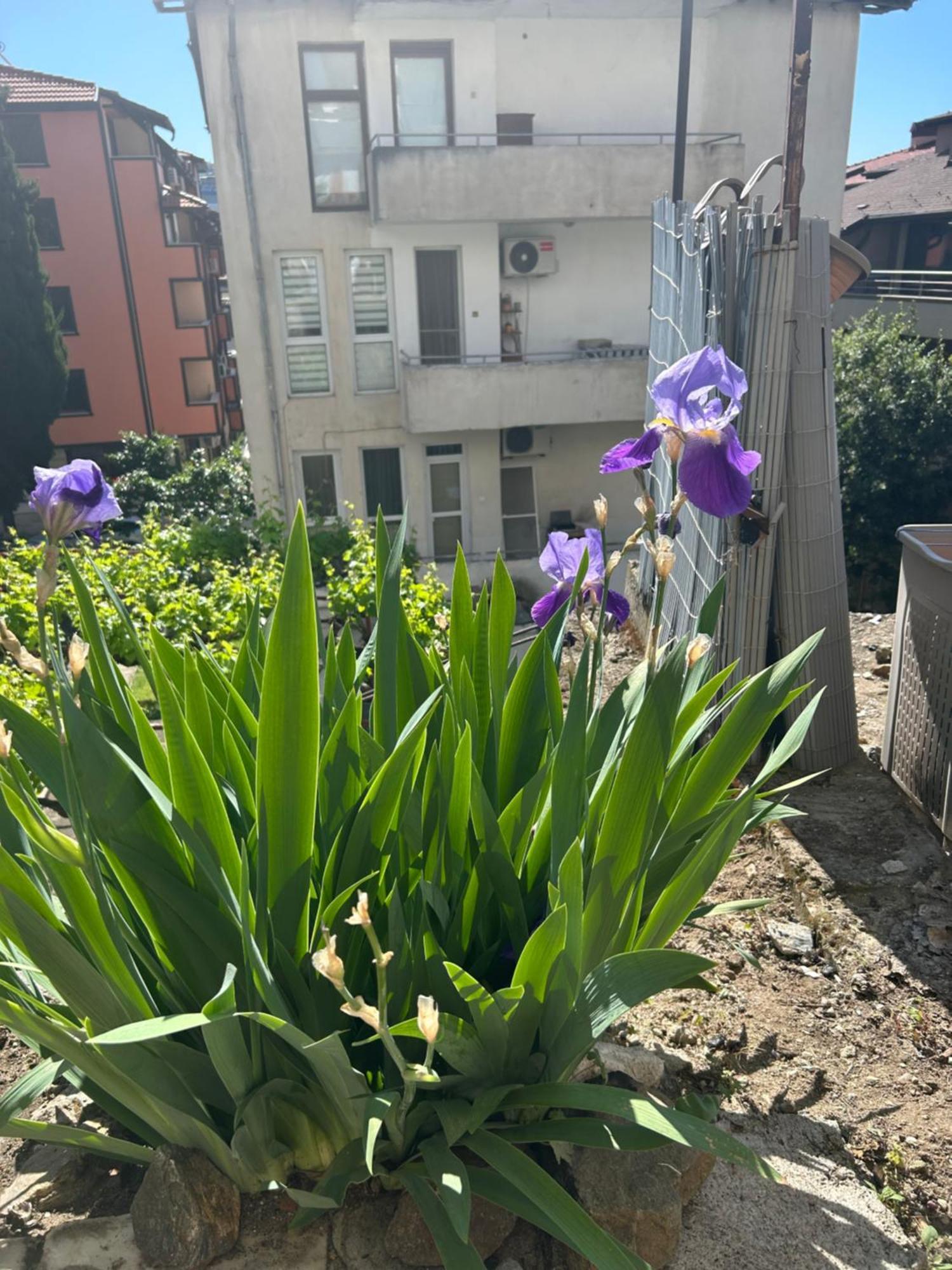 Didi House Apartment Sandanski Luaran gambar